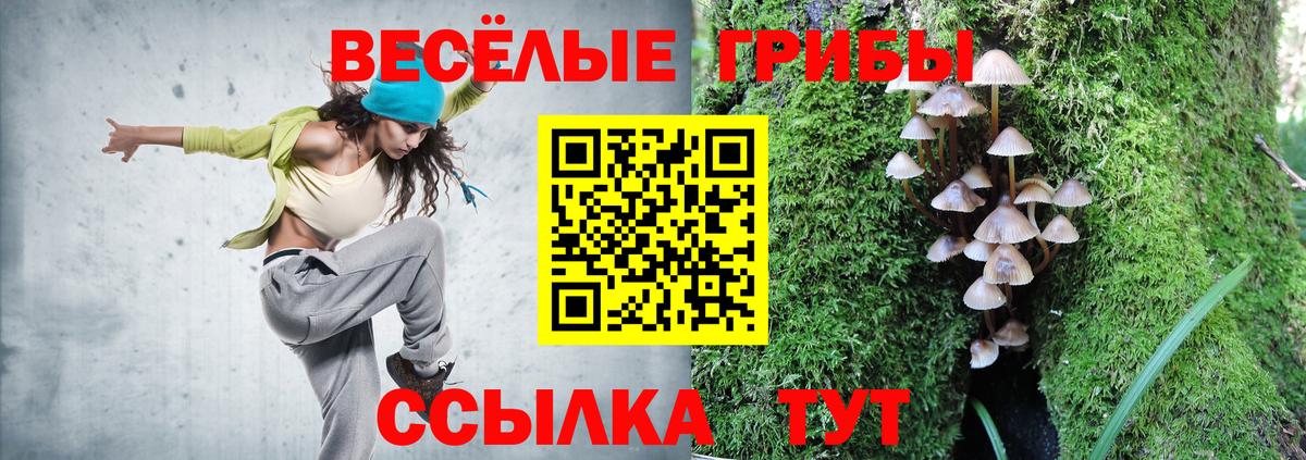 продажа наркотиков  Вход с VPN  Ростов Великий  Псилоцибиновые грибы MAGIC MUSHROOMS 